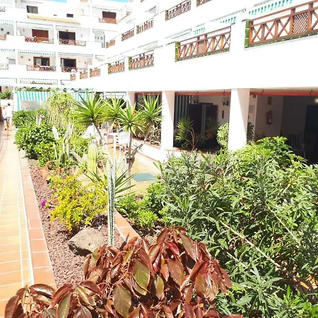 Apartamento Victoria Los Cristianos Arona (Tenerife)
